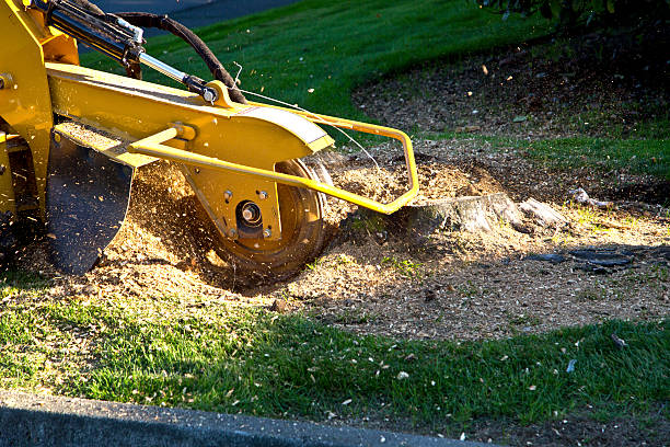 Best Aeration Services  in Kremmling, CO