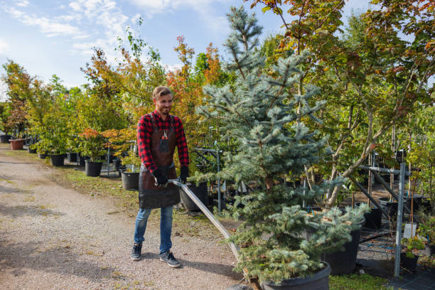 Seasonal Cleanup (Spring/Fall) in Kremmling, CO